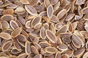 Suva Dill Seed