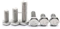 SS304 Stainless Steel Hex Bolt