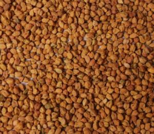 Brown Chick Peas