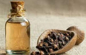 Clove Oleoresins oil