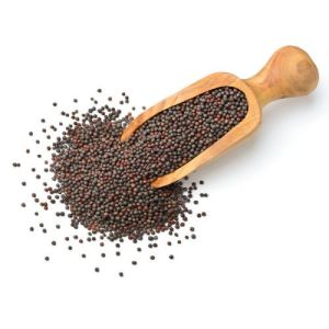 Mustard Seeds (rai)