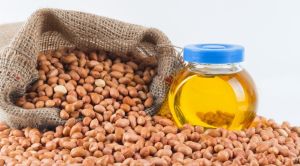 Organic Groundnut oil