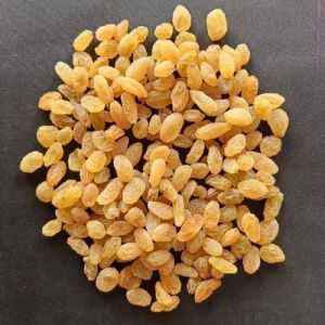 Dried Golden Raisin