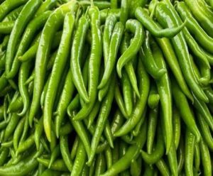 Fresh Long Green Chilli