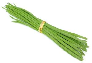 Fresh Moringa Drumstick