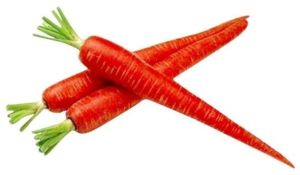 Fresh Red Carrot