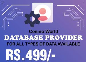 Database Provider