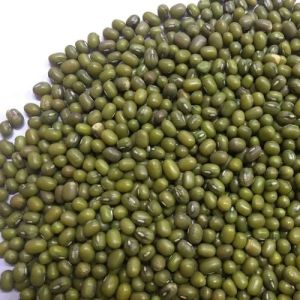 Green Mung Beans