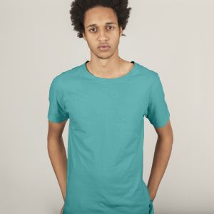 Mens Cotton plain regular size sage green t-shirt GSM, size S/M/L/XL/XXL