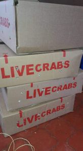 Fresh Live Crabs