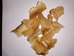 Tragacanth Gum