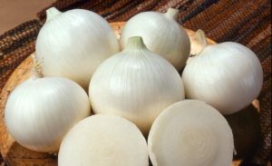 Fresh White Onion