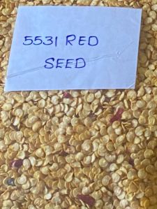 Chilli Seeds