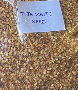 Chilli Seeds