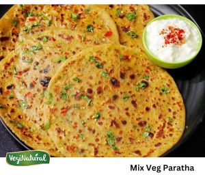 Frozen Mix Veg Paratha