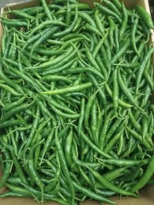 Fresh Green Chilli