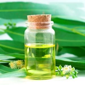 Calamus Essential Oil