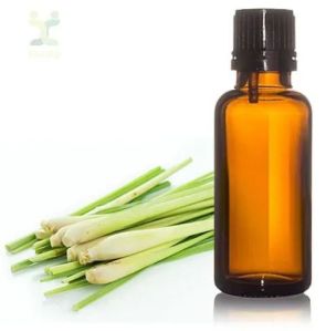 Citronella Essential Oil