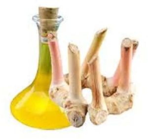 Galangal Oil