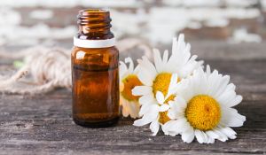 german chamomile essential oil