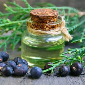 juniper leaf oil