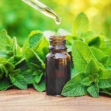 Menthol Oil