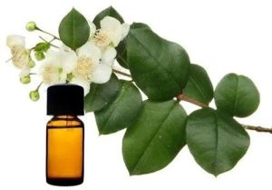 Myrtle Essential Oil