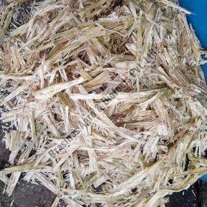 Waste Sugarcane Bagasse