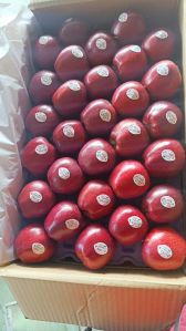 Red Delicious Apple