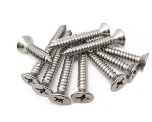 Stainless Steel Screw