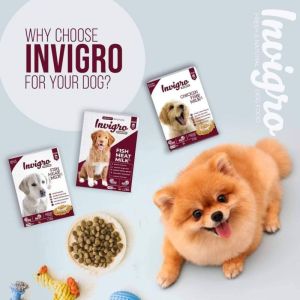 pet dry food