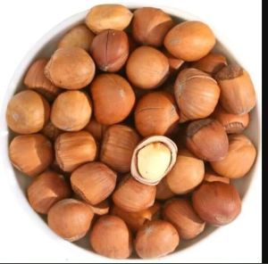 Raw Hazelnuts