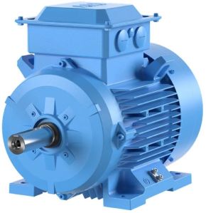 ABB make Foot Mounted Induction Motor