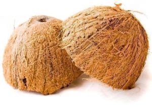 Coconut Shell