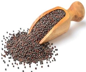 Black Mustard Seed