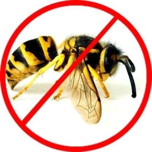 Bee Control Services