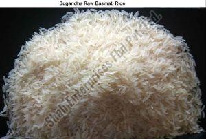 Sugandha Raw Basmati Rice