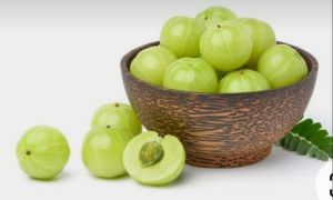 A Grade Fresh Amla