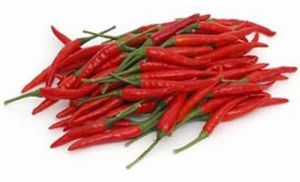 Fresh Thai Red Chilli