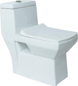 Combo One Piece Water Closet