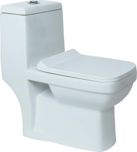 Europa One Piece Water Closet