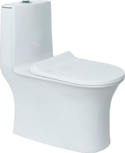 White Nexa One Piece Water Closet