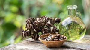 Cold Pressed Castor Oil