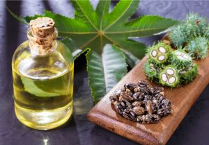 Cold Pressed Castor Oil