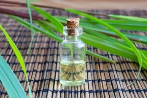 Citronella Essential Oil