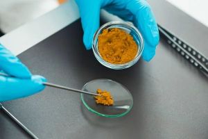 Natural Turmeric Extract