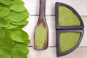 moringa powder