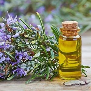 Rosemary Essential Oil