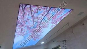 Amusement Park Stretch Ceiling