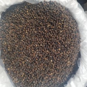 Black Pepper Seed